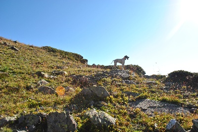 De Mayazi - à la montagne.....