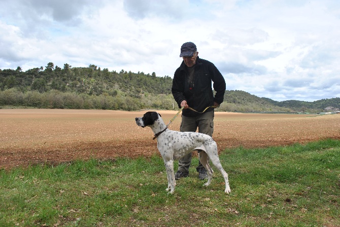 De Mayazi - LARZAC le varois....